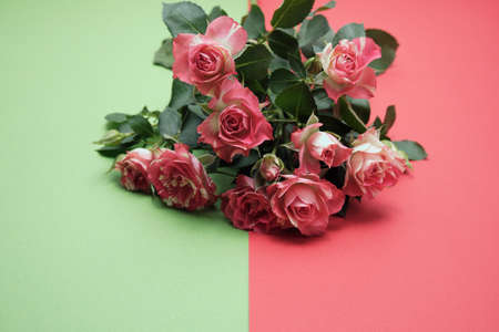 Spring flowers. Holiday card. White flowers of cherry on a blue and yellow background. Place for text, flat lay, top view, copy spaceの写真素材