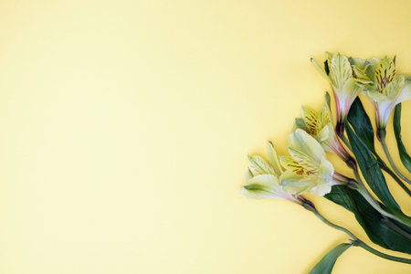 Spring flowers. Holiday card. White flowers of cherry on a blue and yellow background. Place for...