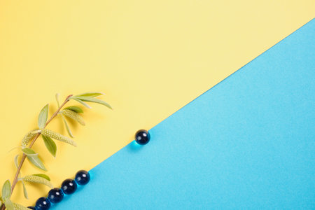 Spring flowers. Holiday card. White flowers of cherry on a blue and yellow background. Place for text, flat lay, top view, copy spaceの写真素材