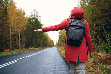 A Woman in a Red Jacket Trying to Stop a Car on the Forest Roadの写真素材