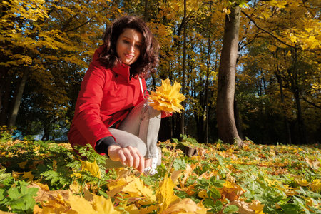 Woman in Red Jacket Holds Yellow Maple Leaves in Her Hands