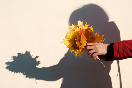 Woman in Red Jacket Holds Yellow Maple Leaves in Her Hands