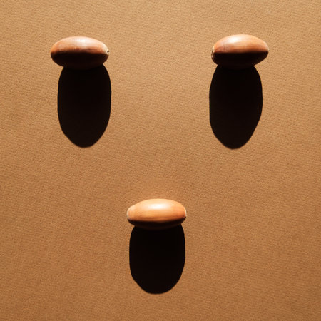 Oak Acorns Brown Paper Background Cast Deep Shadow.の写真素材