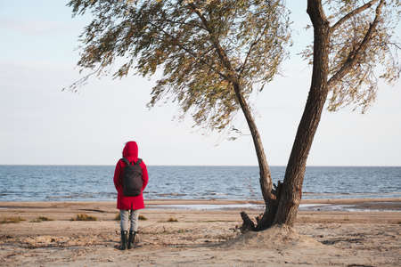 Woman in a red jacket stands under a tree and looks at the wavesの写真素材