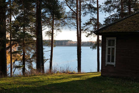 Lake, tall pine trees and a sunny sunset in autumn.の写真素材
