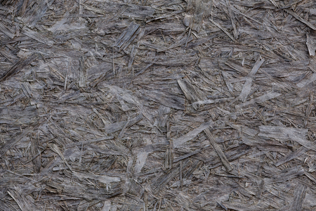 Gray wood textureの写真素材