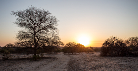 Sundown over Sabi Sabi, Kruger National Park, South Africaの写真素材