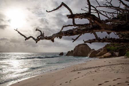 Granite rocks at the beach, Seychellesの写真素材