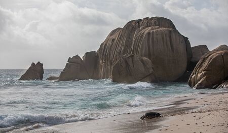 Granite rocks at the beach, Seychellesの写真素材
