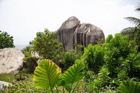 Granite rocks, Seychellesの写真素材