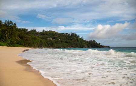 At the beach, Seychellesの写真素材