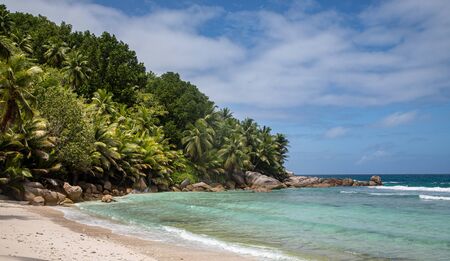 At the beach, Seychellesの写真素材