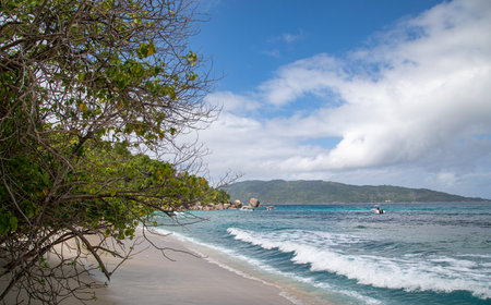 At the beach, Seychellesの写真素材
