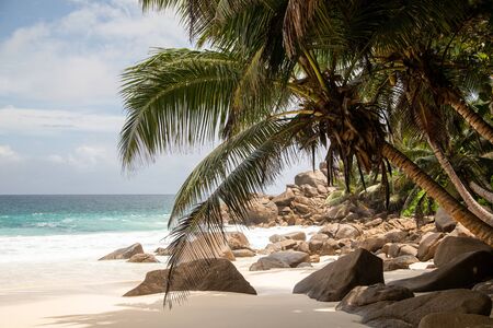 Granite rocks at the beach, Seychellesの写真素材