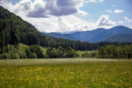 Summer in the Kitzb?hel Alps, Tyrol, Austriaの写真素材