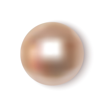 Pearl realistic on white background top view.のイラスト素材