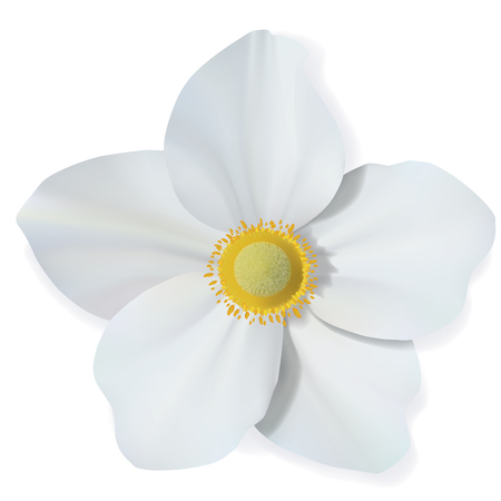 White Narcissus flower isolated on white background. Beautiful vector mesh flower.のイラスト素材