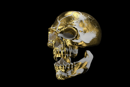Golden white skull isolated on black background. The demonic skull of a vampire. Scary skilleton face for Halloween. Dead vampire, skull with vampire fangs. 3d rendering.の写真素材