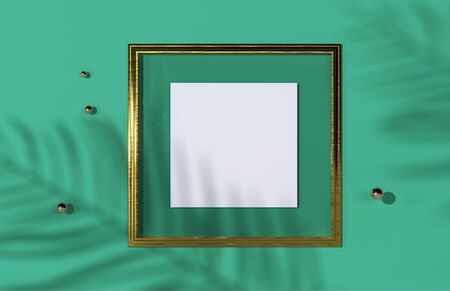 Top view of green tropical leaf shadow on golden frameの写真素材