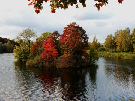 Island with autumn trees in the middle of the lakeの写真素材