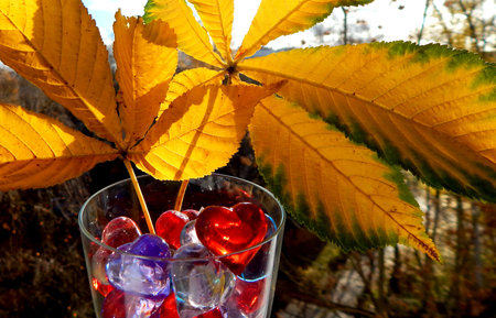 Colorful hearts close up in a glass glass and yellow chestnut leaves