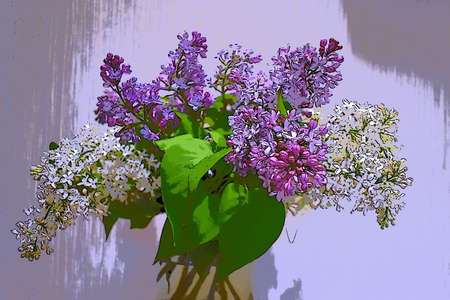 Lilac bouquet in a vase with water on a gray background, illustration.の写真素材