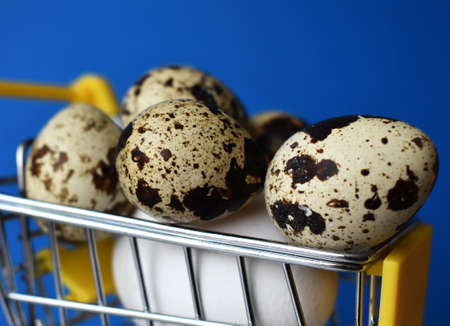 Quail and chicken eggs in the basketの写真素材