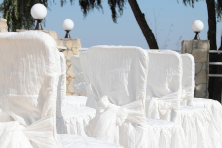 Raws of white celebration chairsの写真素材
