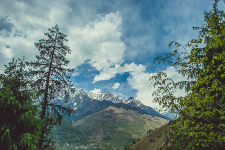 In the front two pines on background blue sky with clouds and Himalayan mountansの写真素材