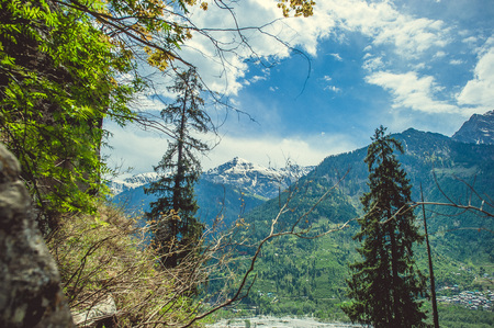 In the front two pines on background blue sky with clouds and Himalayan mountansの写真素材