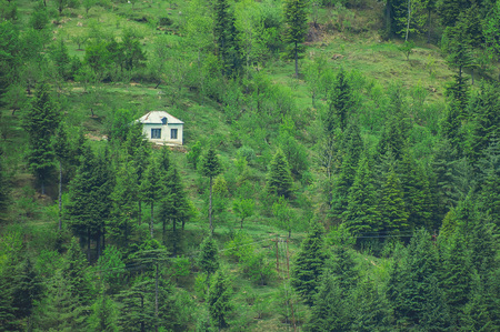 Lonely white house surrounded by green forestの写真素材