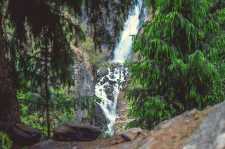 In the front: green pine on background big Jogini waterfall in Vashishtの写真素材