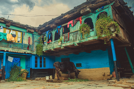 Vashisht. India. April 21, 2017. Traditional house for the Himalayan region with a balcony and a cow from belowのeditorial素材