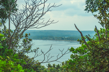 View of the bay through the undergrowth of trees in cloudy weatherの写真素材