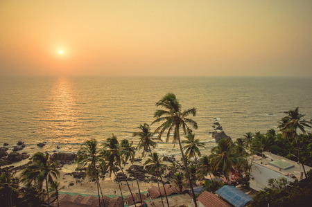 Palm trees in the rays of the sunset in the background beach and the Arabian Sea.の写真素材