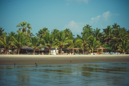 Buildings in palm trees on the coast of the Arabian Sea in Goa.の写真素材