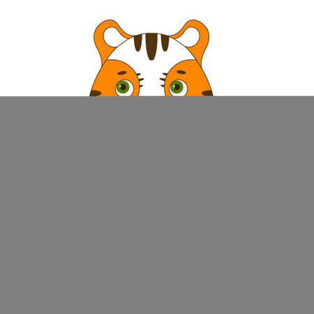 Cute chinese tiger do yogaのイラスト素材