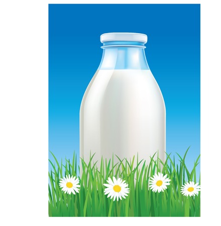 milk bottle on grass field with chamomileのイラスト素材
