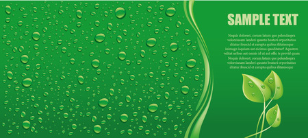 natural green water drops background with fresh leafのイラスト素材