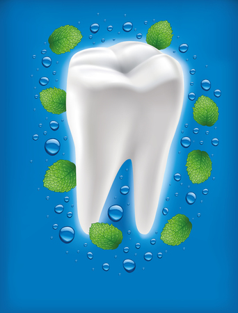 white tooth with fresh mint leaf and water dropsのイラスト素材
