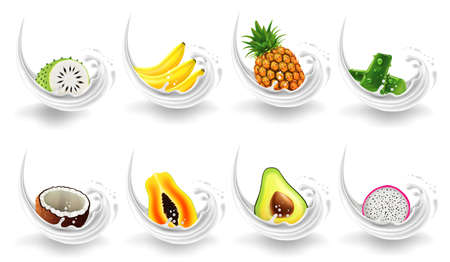 Fruit icons set on white background. Vector illustration. Eps 10の写真素材