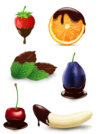 vector illustration chocolate covered different fruitsのイラスト素材