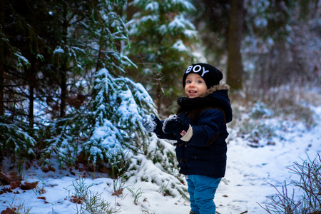 Little boy walking in the winter forestの写真素材