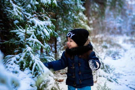 Little boy walking in the winter forestの写真素材