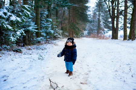 Little boy walking in the winter forestの写真素材