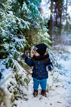 Little boy walking in the winter forestの写真素材