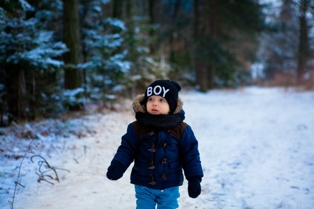 Little boy walking in the winter forestの写真素材