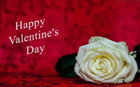 White Rose with a hole to the day of the holy valentine on a red background.の写真素材