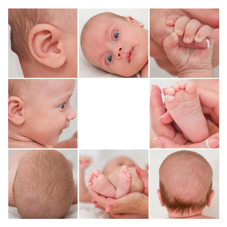 Photographic collage of newborn baby body parts, place for textの写真素材