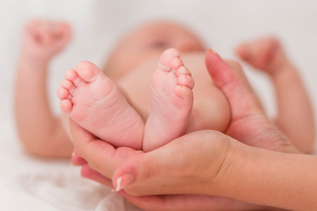 Soft newborn baby legs on a white background.の写真素材